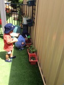 teaching children to care for the environment at Aurora